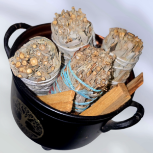 Sauge purificatrice / Palo santo